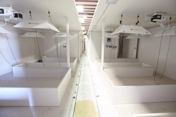 Millonarios de EUA huyen del coronavirus a refugio de búnkeres en Nueva Zelanda