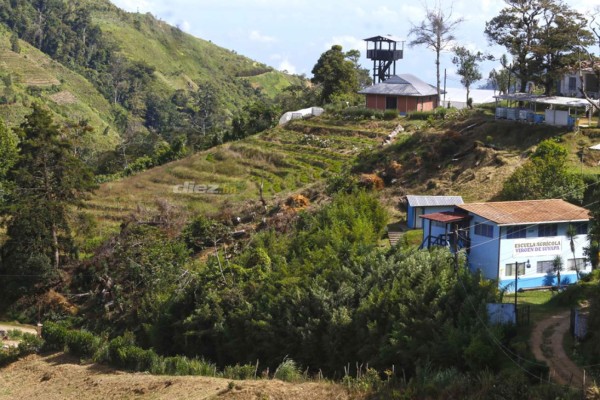 Las tristes imágenes de un trayecto de la muerte donde fallecieron cuatro jugadores amateurs en Honduras