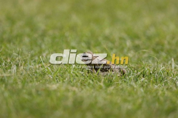 NO SE VE POR TV: Estas son las imágenes que nos has visto de la final