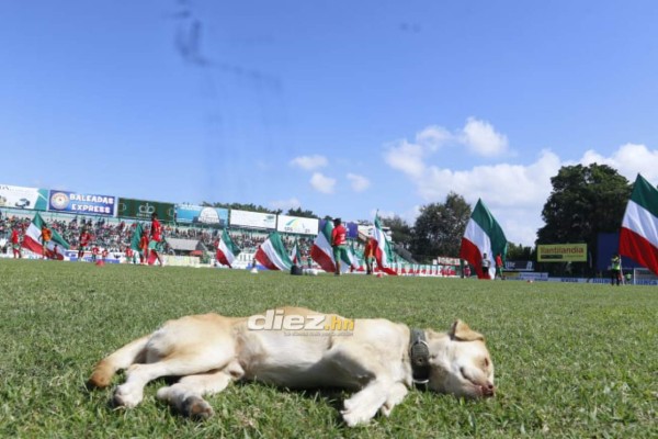 Hermosas chicas y ambientazo en el Yankel Rosenthal para el clásico Marathón-Olimpia