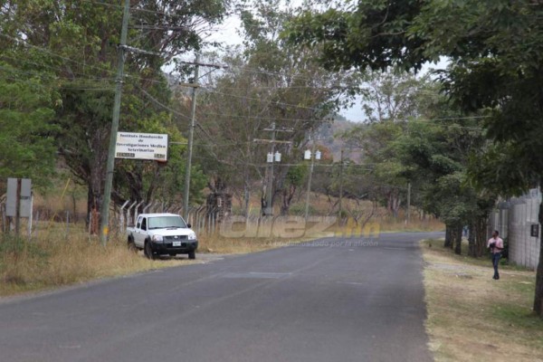Fotos: Así avanza la construcción de la nueva sede de Olimpia