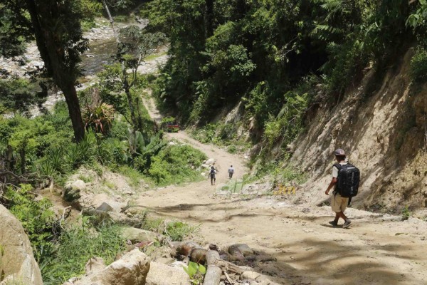 Las tristes imágenes de un trayecto de la muerte donde fallecieron cuatro jugadores amateurs en Honduras