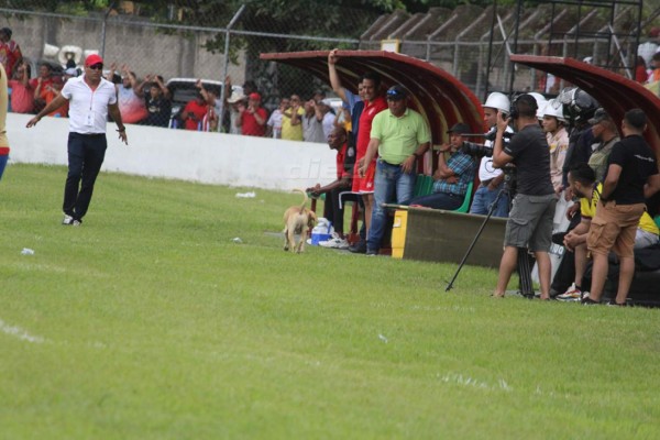 El beso de Moreira, hermosa novia de jugador del Platense y 'Firulais' fue protagonista