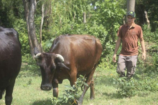Policías, albañiles, barberos, pintores y pescadores... ¡La otra profesión de los futbolistas hondureños!