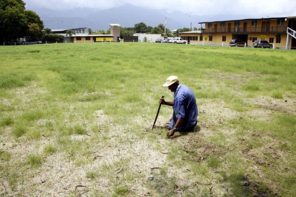 ¡Museo y un mini estadio! Así quedará la sede del Real España con las remodelaciones