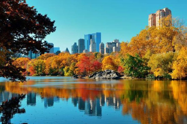 La cuarentena por coronavirus en Nueva York transforma Central Park