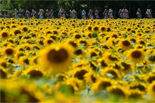 Las mejores postales del Tour de Francia 2015