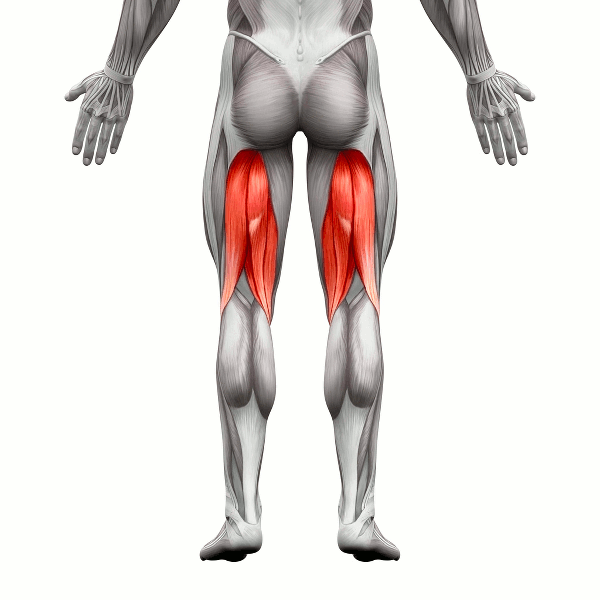 Los isquiotibiales fueron los que no perdonaron a David Ruiz en todo el 2025.