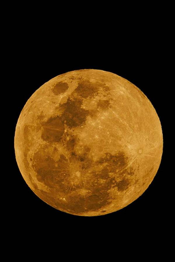 El jugador que se vistió de Iron Man, el gol de Alexy Vega que paralizó el Olímpico y goleada de locos del Marathón ante Victoria