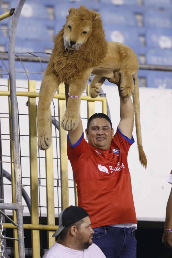 De periodista a fótografo, la charla con un ex y el mensaje de Olimpia que presentó estas novedades