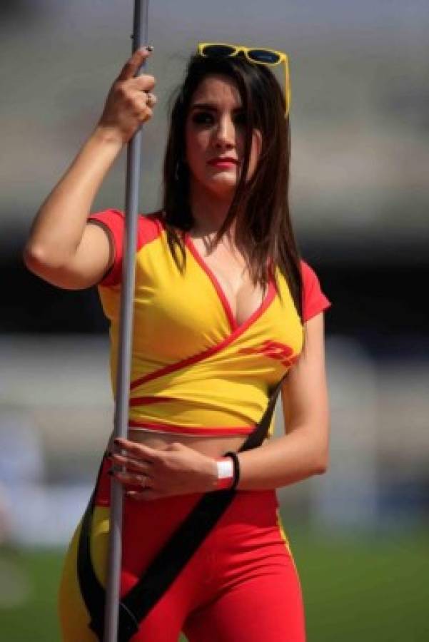 ¡Roban miradas! En el fútbol de México estas chicas llenan de belleza los estadios