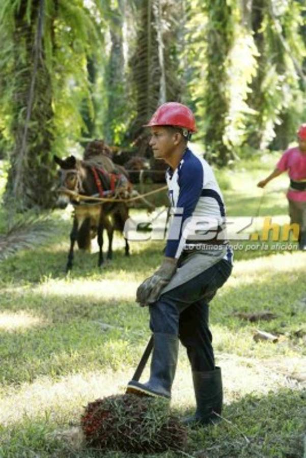 EN FOTOS: Así es la nueva vida de Juan Carlos Acevedo, ex jugador del Real España