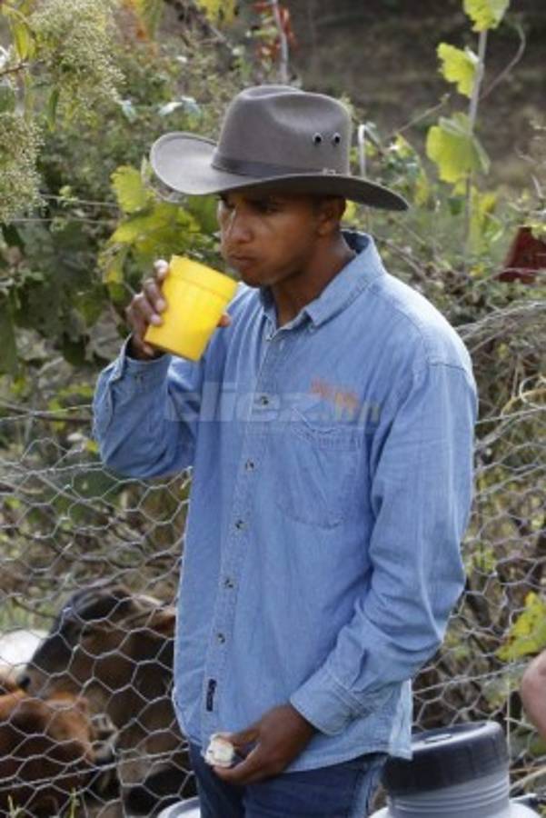 Donis Escober, ganadero: de sombrero y buen jinete; cambió la pelota por el ordeño de vacas