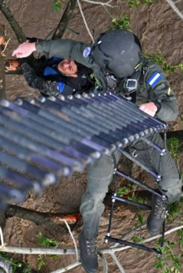 Impactante: El dramático rescate de hondureños que estaban en un árbol tras el paso de Iota