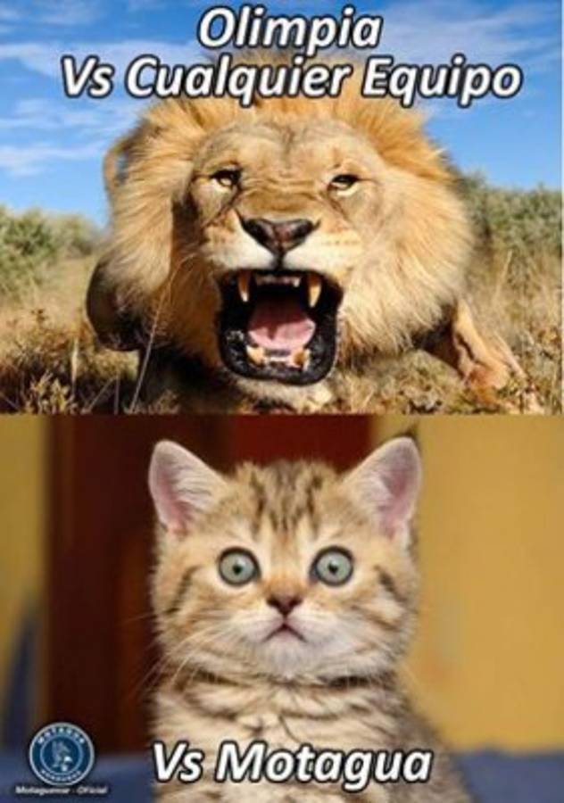 ¡Para reír! Los mejores memes antes del Marathón-Real España y Olimpia-Motagua