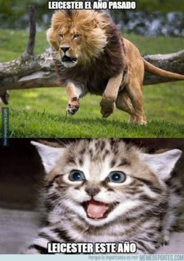 Los mejores memes por la anotación de Paul Pogba con el Manchester United