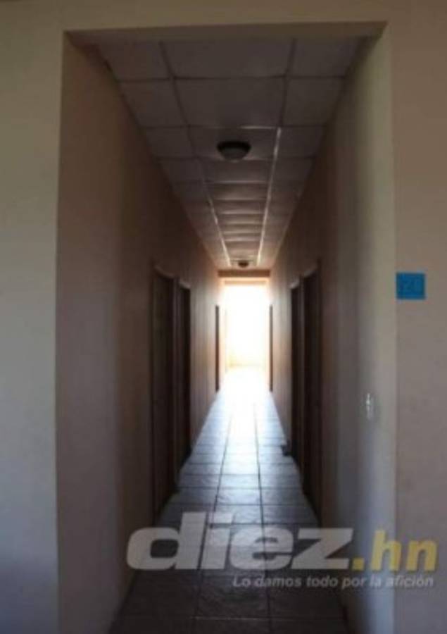 Vida volvería a su sede principal en una concesión por 30 años: presidente Luis Cruz anuncia remodelaciones