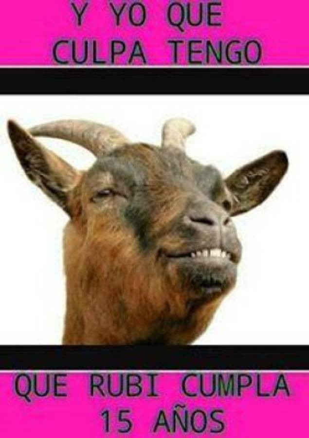 ¡QUÉ CRUELES! Los memes hacen de las suyas en la fiesta de los XV de Rubí