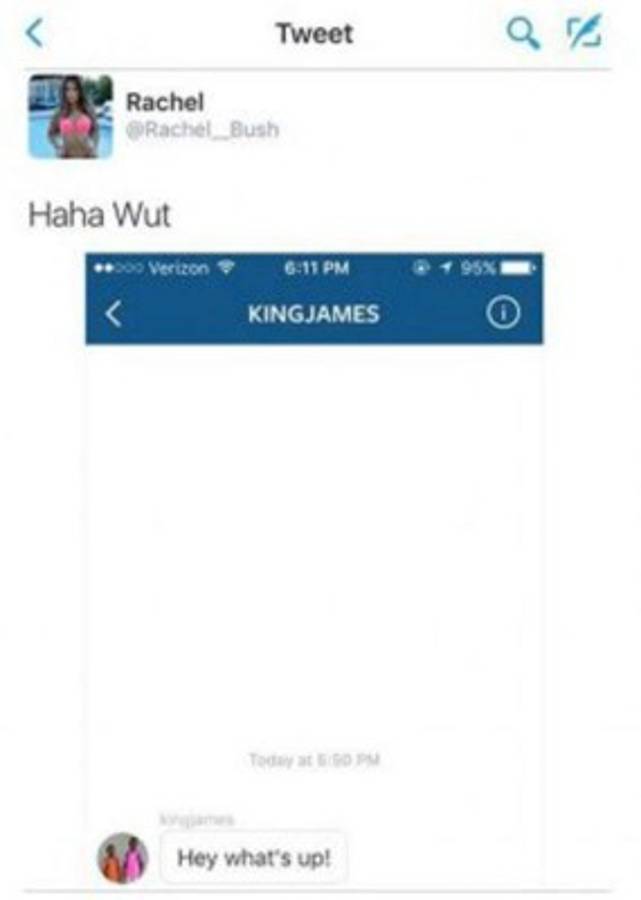 FOTOS: Rachel Bush, la explosiva modelo que rechazó a Lebron James