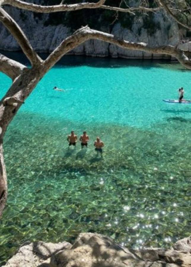 Nuevo miembro en la familia, amigos peludos y redes: La nueva vida y vacaciones de Zidane tras dejar al Real Madrid  