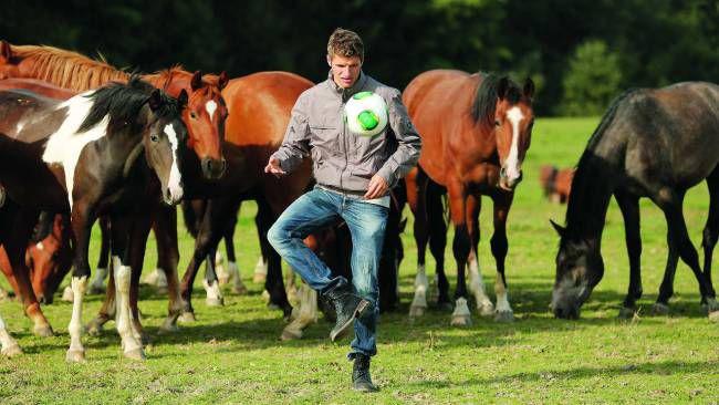 El insólito negocio de Thomas Müller: acusado de maltrato animal por dejar que sus caballos tengan “actos sexuales antinaturales”