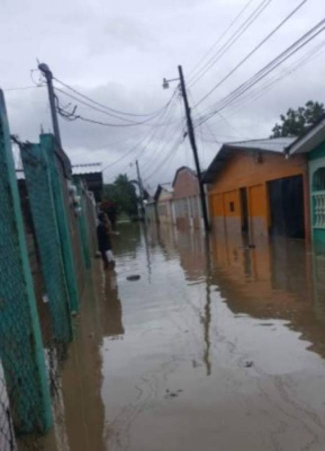 Alerta en el Valle de Sula: Río Chamelecón se desborda tras las torrenciales lluvias por Iota