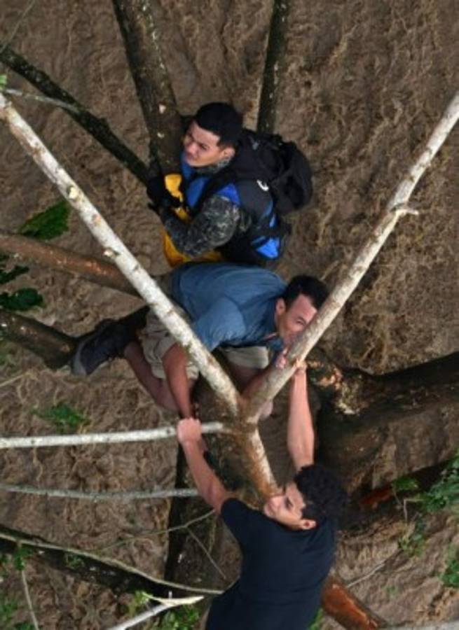 Impactante: El dramático rescate de hondureños que estaban en un árbol tras el paso de Iota