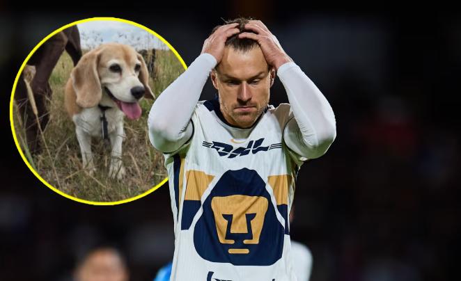 Aaron Ramsey rompe con Pumas y huyó de México: se confirmó el motivo de su drástica decisión