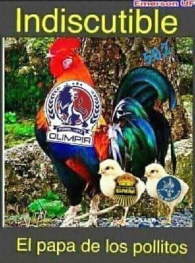 Motagua cae ante el Tauro FC y es atacado con divertidos memes