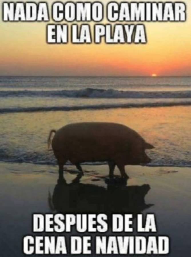 Desde el arbolito hasta lo gordo que puedes estar en enero: Los mejores y divertidos memes de la navidad 2019