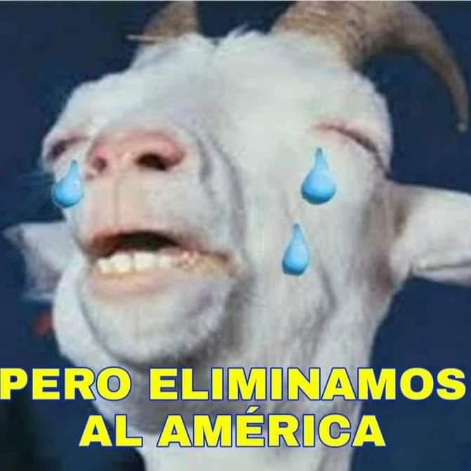 Los memes hacen pedazos a Chivas luego del ridículo histórico ante Tigres en la final de la Liga MX