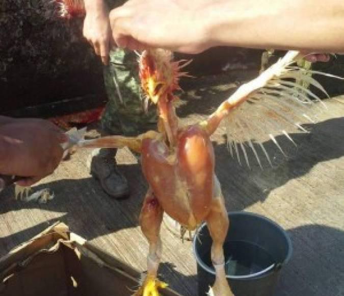 Olimpia le estrena la copa a Motagua y los memes no perdonan al Ciclón ¿Cómieza una nueva paternidad?