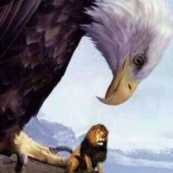 Así se burlan los aficionados de la derrota del Olimpia ante Motagua