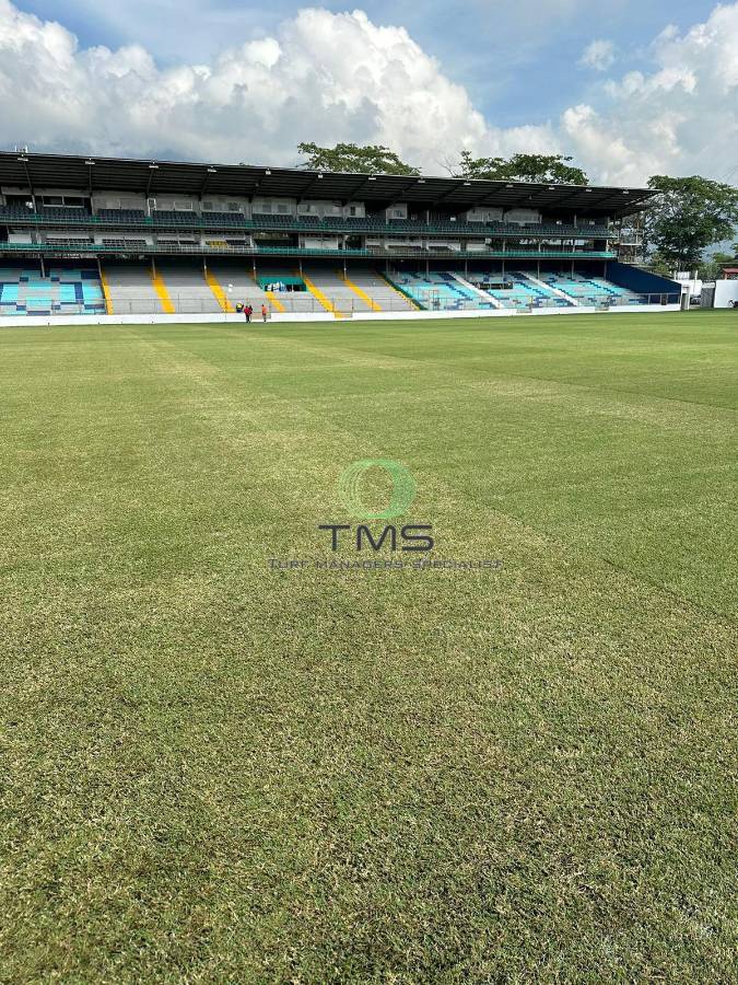 Ya hay fecha para jugar en la nueva grama del estadio Morazán: Así luce el recinto de San Pedro Sula