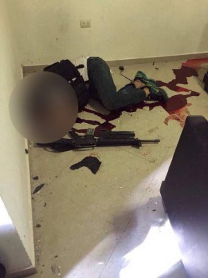 FOTOS: Así se dio la captura de 'El Chapo' Guzmán en Sinaloa