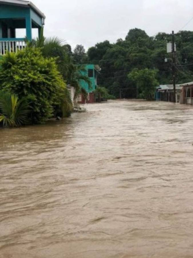 Alerta en el Valle de Sula: Río Chamelecón se desborda tras las torrenciales lluvias por Iota