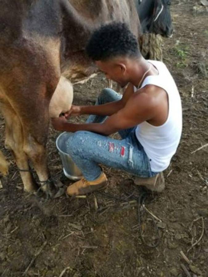 Douglas Martínez, el fanático de las vacas y caballos que destaca en la USL