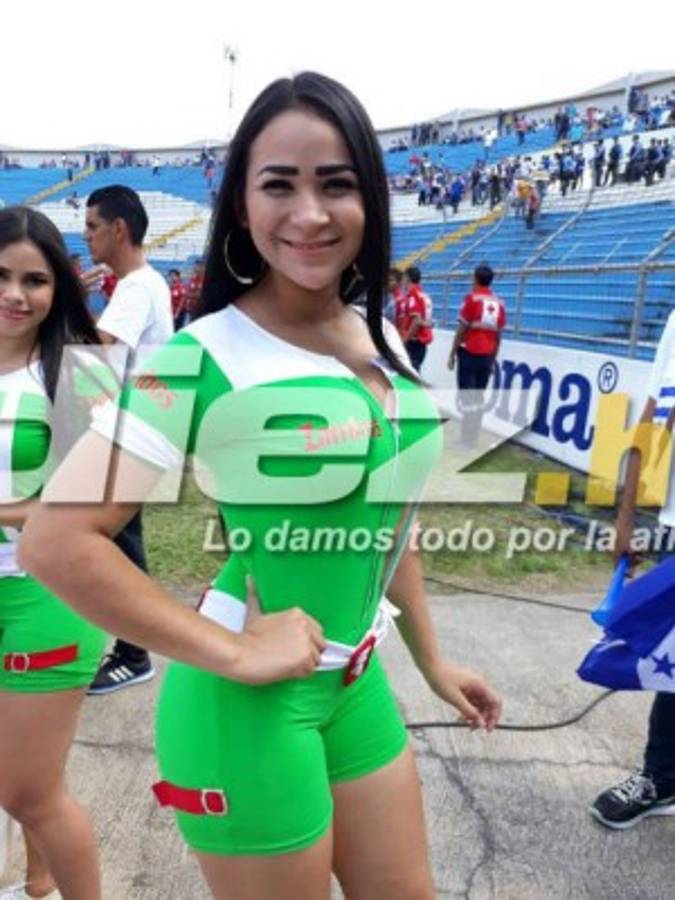 ¡HERMOSAS! Juego entre Honduras-Estados Unidos se llena de lindas chicas