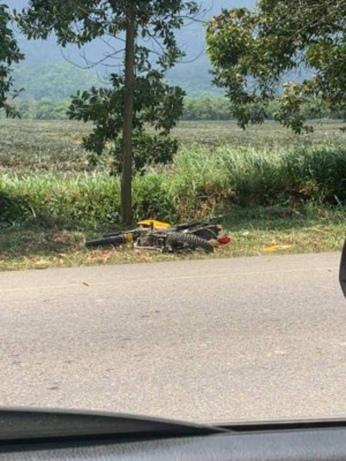 Gesto humano de médicos del Vida: se bajaron del autobús y atendieron a personas heridas en accidente