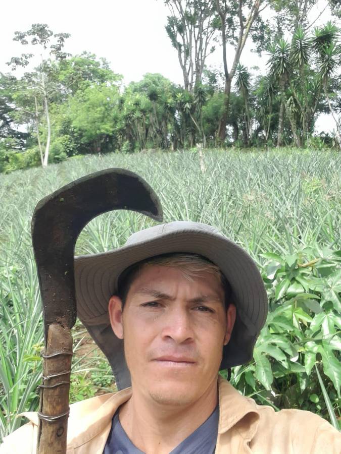 Se suma uno más: Marathón, el equipo de los fichajes random del fútbol hondureño