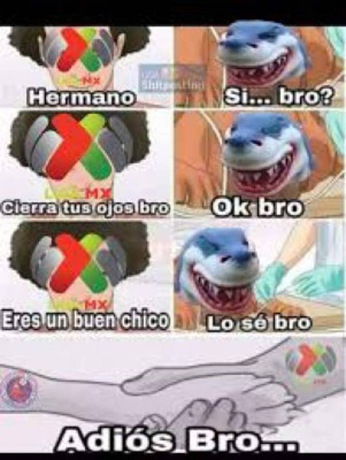 Liga MX: Veracruz es desafiliado y los divertidos memes no perdonan al Tiburón