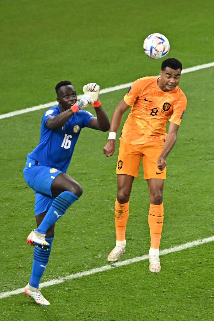 La entrada era gratis: las increíbles imágenes del Senegal-Países Bajos con un estadio medio vacío en pleno Mundial