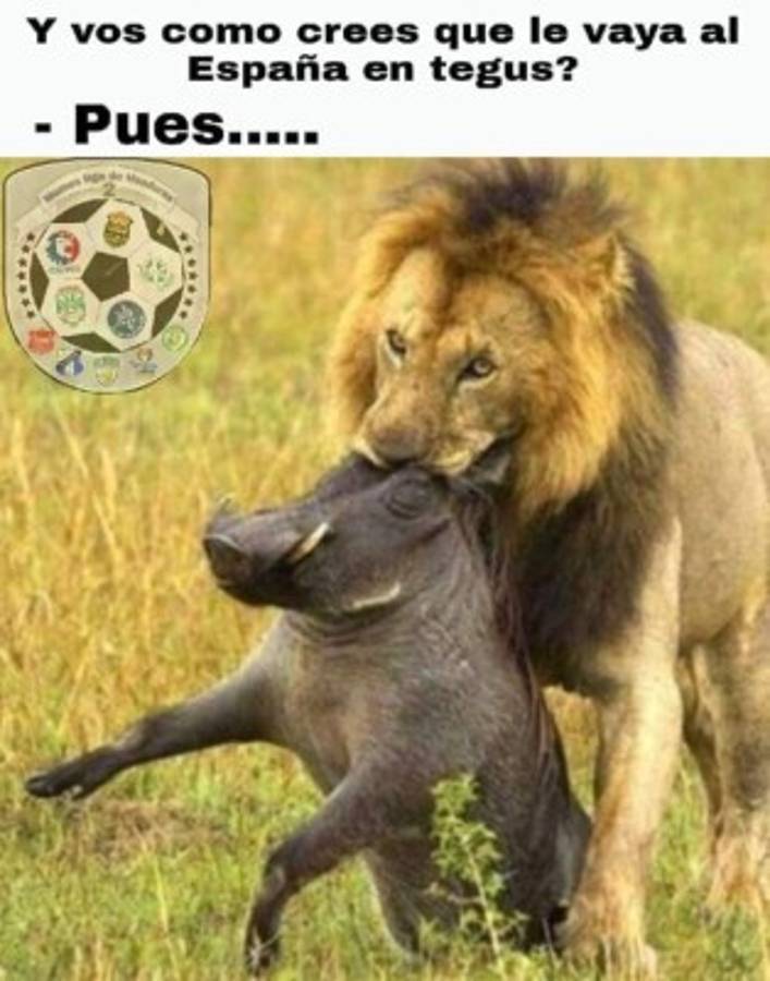 Crueles memes: Calientan la semifinal de vuelta entre Olimpia y Real España en redes