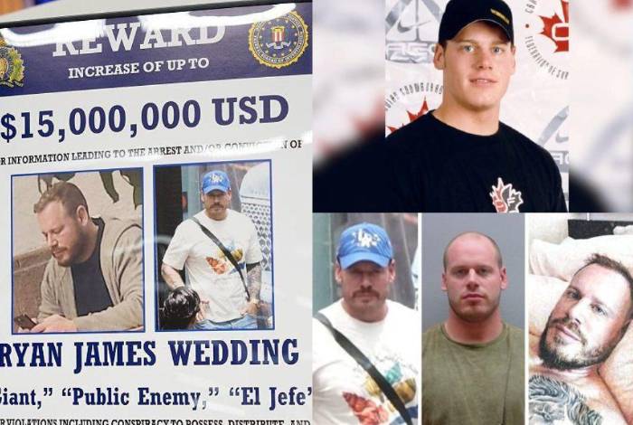 El narcotraficante y exolímpico canadiense Ryan Wedding ha sido detenido, según NBC News.