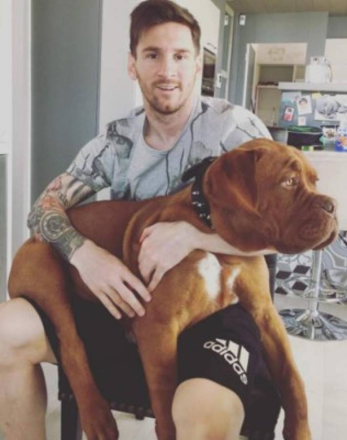 La impresionante transformación de 'Hulk', el perro de Lionel Messi