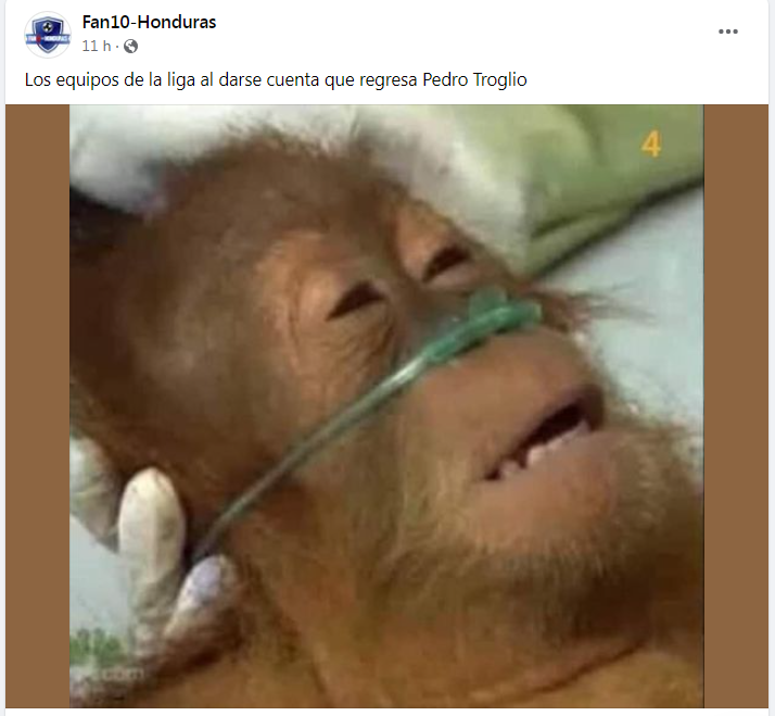 ¿Tiemblan en Motagua? Los terribles memes que dejó el regreso de Pedro Troglio con Olimpia