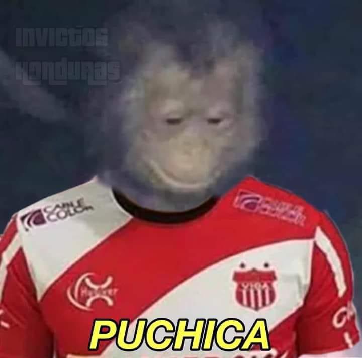 Para morir de risa: Los jocosos memes que dejaron las semifinales donde hacen pedazos a Motagua y Vida