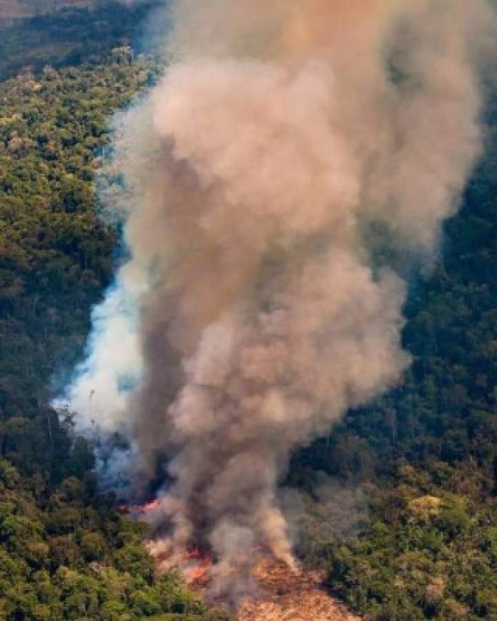 Las imágenes del terrible incendio que devora el Amazonas, el pulmón del mundo