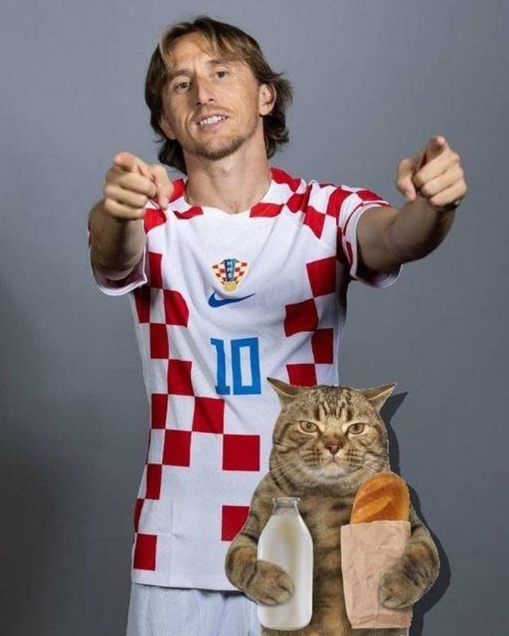 La venganza del michi: memes destrozan a Brasil tras quedar eliminado del Mundial ante Croacia