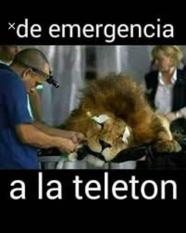 Memes: aficionados motagüenses, protagonistas de las burlas al Olimpia tras la eliminación en Concacaf